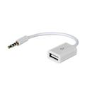 Adaptador Akyga USB para AUX 15cm - USB-A Fêmea/3,5mm Macho - Branco