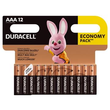 Pilhas alcalinas Duracell Basic LR03/AAA - 12 unidades