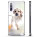 Capa Híbrida para Huawei P20 Pro  - Cão